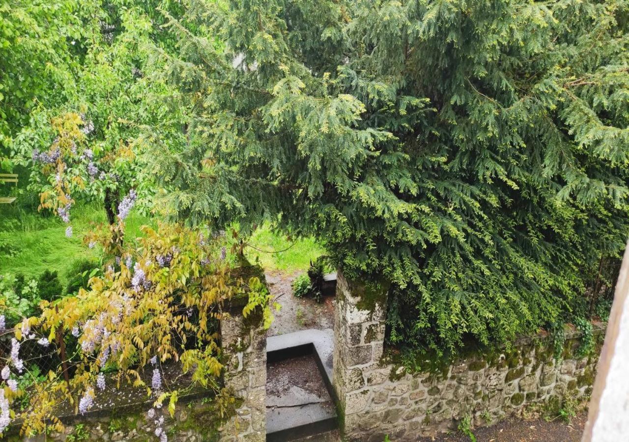 Cap Nature - T4 Et T3 En Perigord Vert - Ideal Pros Et Groupes Max 18P Champniers-et-Reilhac Bagian luar foto